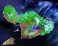 Острів Мауї. Знімок з супутника.