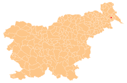 Localização do município de Odranci na Eslovênia