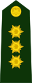 Brigadier general (Colombian National Army)[18]