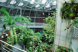Interior of Rainforests of the World