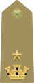 Maggiore (Italian Army)[42]
