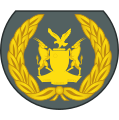 Warrant officer class 2 (Namibian Army)[51]
