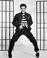 Image 35American singer Elvis Presley is known as the "King of Rock and Roll". (from Honorific nicknames in popular music)