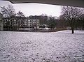 Snow across Tees Lawn