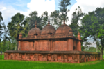 Thumbnail for Mithapukur Mosque