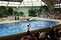 The Brookfield Zoo dolphinarium in Chicago.