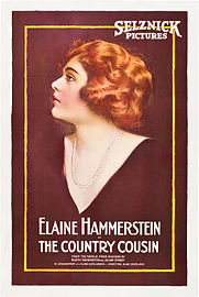 Poster for The Country Cousin (1919)