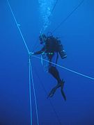 Marine scientist safety diver coordinates a blue-water dive for 4 companions - each at the end of a rope tether and each rope kept taut by a weight and pulley system.
