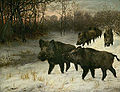 Wild boar, by Anton Schmitz