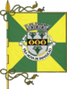 Flag of Vila Nova de Famalicão