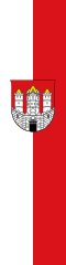 Banner of Salzburg