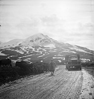 A US Army truck convoy carrying supplies for the Soviets somewhere along the Persian Corridor. c. 1943