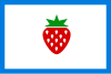 Flag of Searcy County