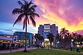 Florida International University Miami
