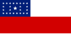پرچم ایالت آمازوناس