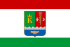 Flag of Staryi Krym