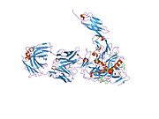 2ny6: HIV-1 gp120 Envelope Glycoprotein (M95W, W96C, I109C, T123C, T257S, V275C,S334A, S375W, Q428C, G431C) Complexed with CD4 and Antibody 17b