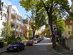 Barevná fotografie zobrazující ulici s auty a několik listnatých stromů