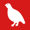 Flag of Holtålen Municipality
