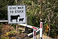 Image 4This Australian road sign uses the less common term "stock" for livestock. (from Livestock)