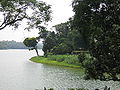 Image 2Upper Seletar Reservoir (from Geography of Singapore)