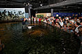 Feeding time at the Melbourne Aquarium draws a large crowd.
