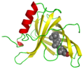 Human retinol binding protein 4 with retinol bound