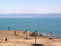 Thumbnail for Dead Sea