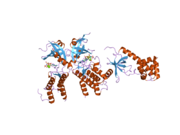 2a19: PKR kinase domain- eIF2alpha- AMP-PNP complex.