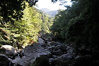 Ashizuri-Uwakai National Park, a temperate rainforest