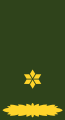 Majoor (Suriname Army)[82]