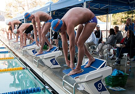 Olympian Ryan Lochte (near) standing on top of the wedged starting blocks. Each swimmer performs a preparatory isometric press by applying downward pressure onto their bent legs. This serves to preload the muscles and helps to make the subsequent dive more powerful.