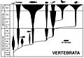Traditional spindle diagram of vertebrate evolution, after Benton 1998
