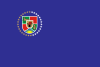 Flag_of_Luhansk_Oblast.svg