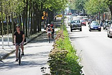 Plusieurs cyclistes roulant sur une petite route séparée par des buissons de la route pour voitures.
