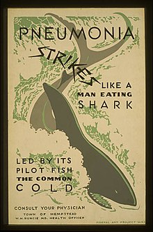 A poster with a shark in the middle of it which reads "Pneumonia Strikes Like a Man Eating Shark Led by its Pilot Fish the Common Cold"