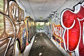 Graffiti-lined tunnel in San Francisco