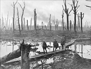 Аўстралійскія артылерысты ў лесе Шато. 29 кастрычніка 1917 года.