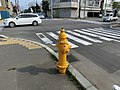 函館型三方式地上式消火栓 黄色地上式より多数のホースが接続できる（北海道函館市）
