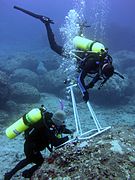 A biologist records algal diversity within a photo-quadrat during an underwater survey at Midway Atoll. Hawaii, Northwestern Hawaiian Islands.