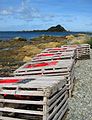Empty craypots on Island Bay foreshore; Tapu Te Ranga Island in background