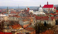 Panorama over the old town of Berezhany