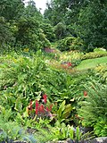 Thumbnail for Bog garden