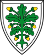 Coat of arms of Aichach