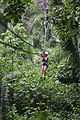 Image 24Zip-lining in the jungles of Belize (from Tourism in Belize)