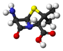 Una aminopenicil·lina