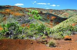 A typical landscape in New Caledonia. Red-orange color of the rocks comes from the soil rich in metal oxides