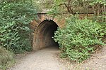 Fig 4. Tunnel through Redbank Range