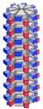 Capside à structure hélicoïdale. Les capsomères (en gris) sont des protéines dont la partie N-terminale est en bleu et la C-terminale en rouge.