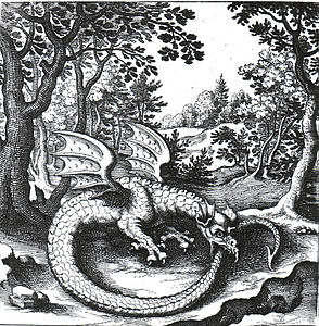 Engraving of a wyvern-type ouroboros by Lucas Jennis, in the 1625 alchemical tract De Lapide Philosophico. The figure serves as a symbol for mercury.[18]